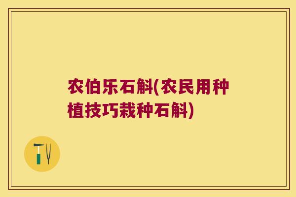 农伯乐石斛(农民用种植技巧栽种石斛)