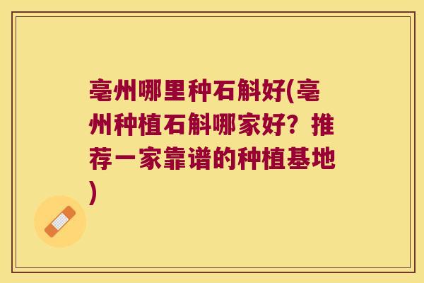 亳州哪里种石斛好(亳州种植石斛哪家好？推荐一家靠谱的种植基地)