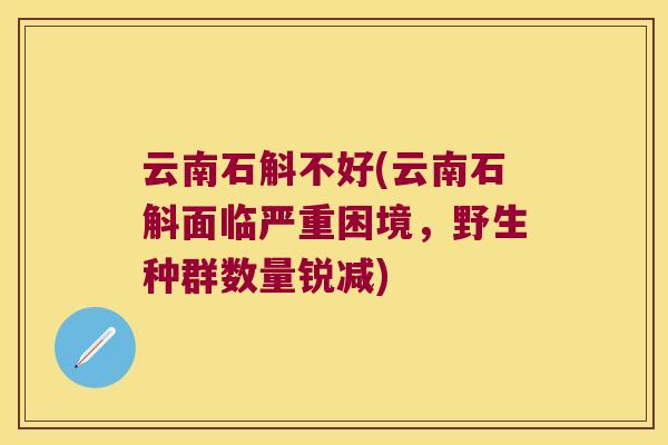云南石斛不好(云南石斛面临严重困境，野生种群数量锐减)