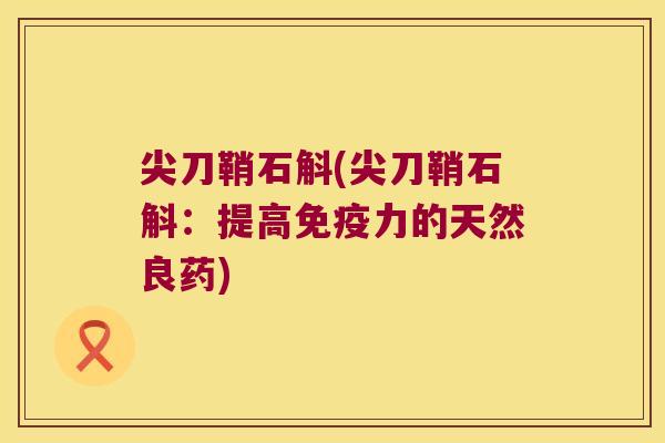 尖刀鞘石斛(尖刀鞘石斛：提高力的天然良药)