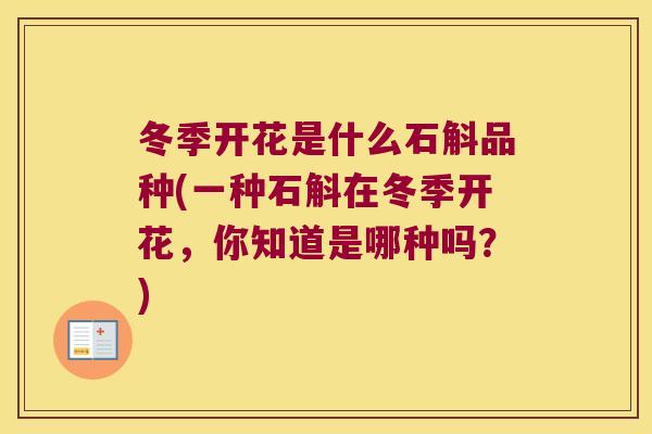 冬季开花是什么石斛品种(一种石斛在冬季开花，你知道是哪种吗？)