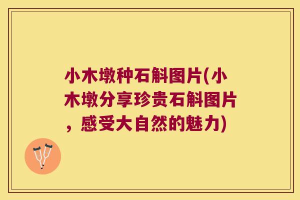 小木墩种石斛图片(小木墩分享珍贵石斛图片，感受大自然的魅力)