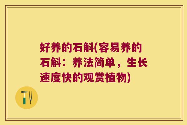 好养的石斛(容易养的石斛：养法简单，生长速度快的观赏植物)