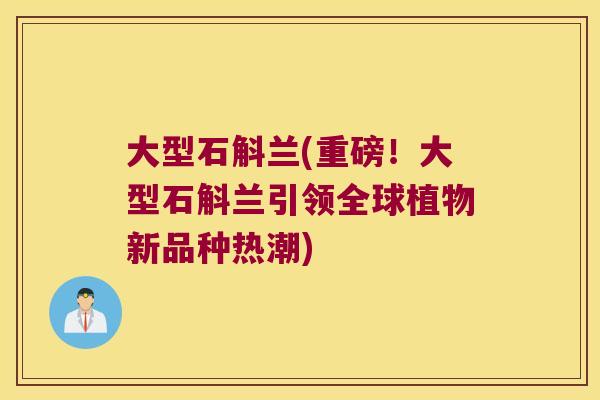大型石斛兰(重磅！大型石斛兰引领全球植物新品种热潮)