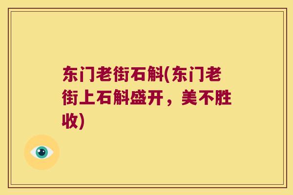 东门老街石斛(东门老街上石斛盛开，美不胜收)