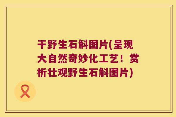 干野生石斛图片(呈现大自然奇妙化工艺！赏析壮观野生石斛图片)