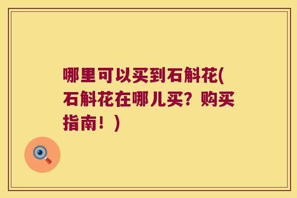 哪里可以买到石斛花(石斛花在哪儿买？购买指南！)