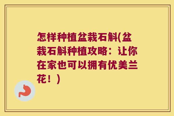 怎样种植盆栽石斛(盆栽石斛种植攻略：让你在家也可以拥有优美兰花！)