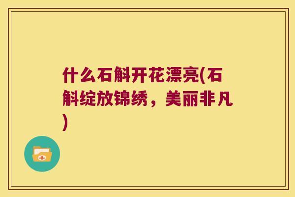 什么石斛开花漂亮(石斛绽放锦绣，美丽非凡)