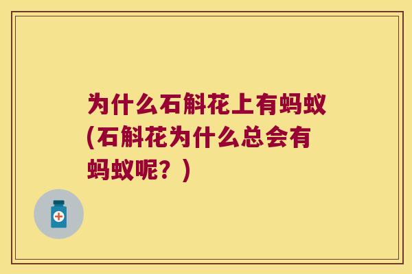 为什么石斛花上有蚂蚁(石斛花为什么总会有蚂蚁呢？)