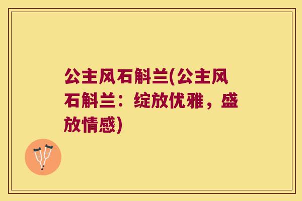 公主风石斛兰(公主风石斛兰：绽放优雅，盛放情感)