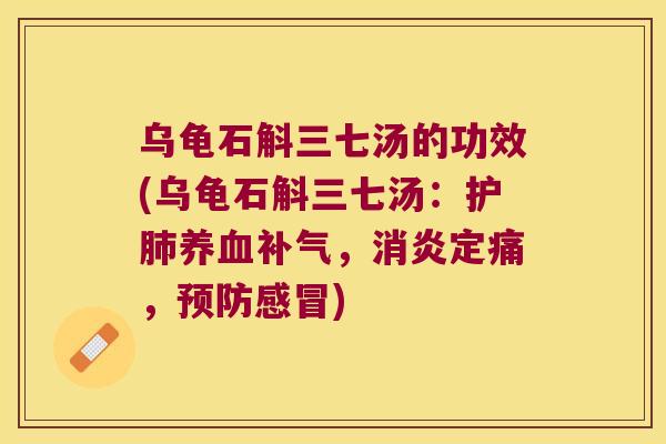乌龟石斛三七汤的功效(乌龟石斛三七汤：护，定痛，)
