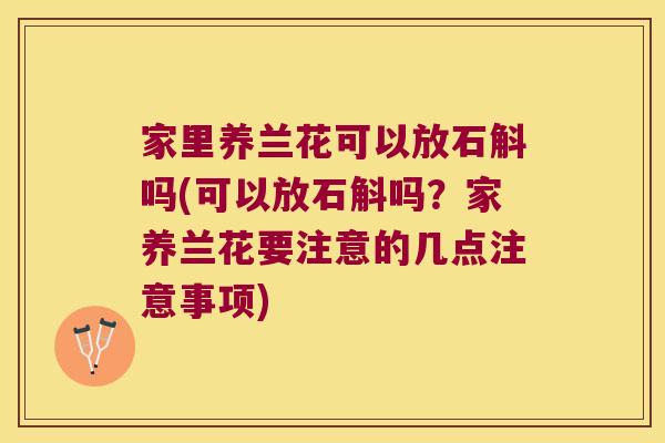 家里养兰花可以放石斛吗(可以放石斛吗？家养兰花要注意的几点注意事项)