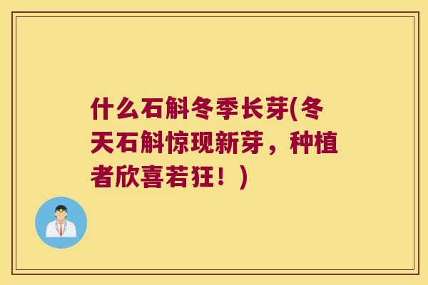 什么石斛冬季长芽(冬天石斛惊现新芽，种植者欣喜若狂！)