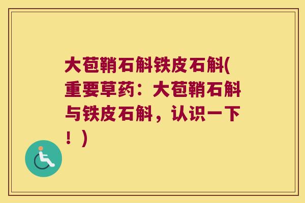 大苞鞘石斛铁皮石斛(重要草药：大苞鞘石斛与铁皮石斛，认识一下！)