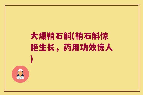 大爆鞘石斛(鞘石斛惊艳生长，药用功效惊人)