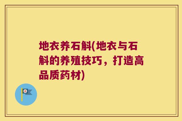 地衣养石斛(地衣与石斛的养殖技巧，打造高品质药材)