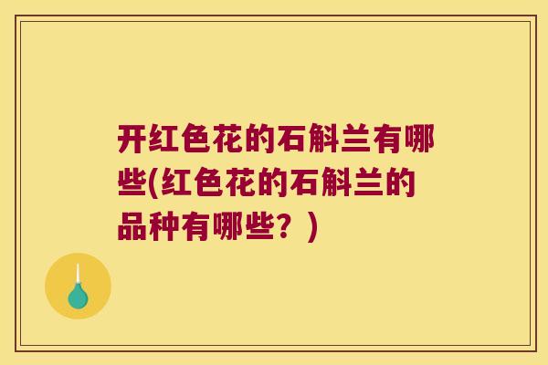开红色花的石斛兰有哪些(红色花的石斛兰的品种有哪些？)