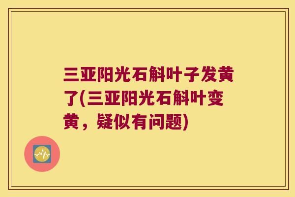 三亚阳光石斛叶子发黄了(三亚阳光石斛叶变黄，疑似有问题)