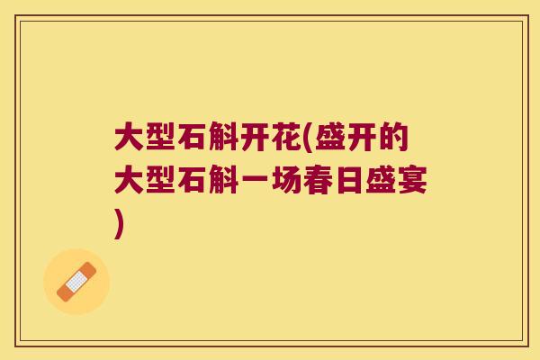 大型石斛开花(盛开的大型石斛一场春日盛宴)