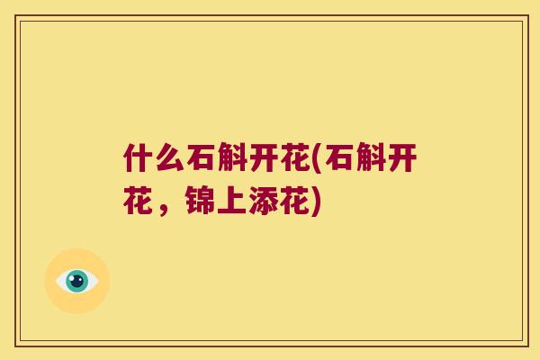 什么石斛开花(石斛开花，锦上添花)