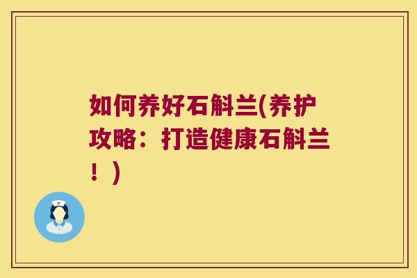 如何养好石斛兰(养护攻略：打造健康石斛兰！)
