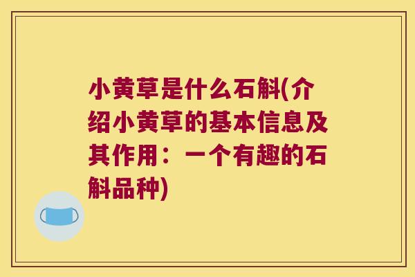 小黄草是什么石斛(介绍小黄草的基本信息及其作用：一个有趣的石斛品种)