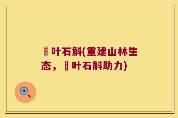 廋叶石斛(重建山林生态，廋叶石斛助力)