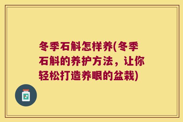 冬季石斛怎样养(冬季石斛的养护方法，让你轻松打造养眼的盆栽)