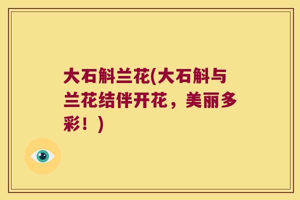 大石斛兰花(大石斛与兰花结伴开花，美丽多彩！)
