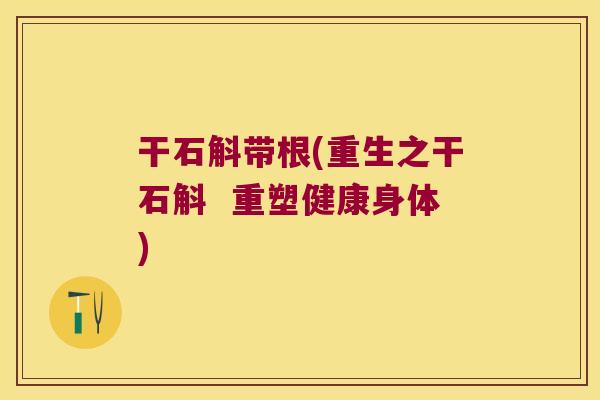 干石斛带根(重生之干石斛  重塑健康身体)