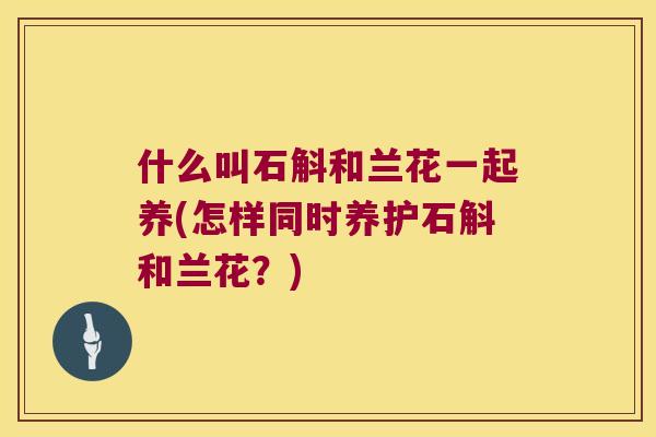 什么叫石斛和兰花一起养(怎样同时养护石斛和兰花？)