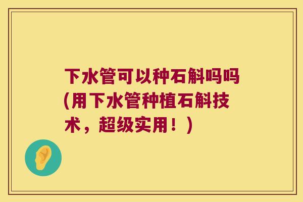 下水管可以种石斛吗吗(用下水管种植石斛技术，超级实用！)