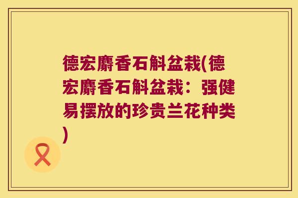 德宏麝香石斛盆栽(德宏麝香石斛盆栽：强健易摆放的珍贵兰花种类)