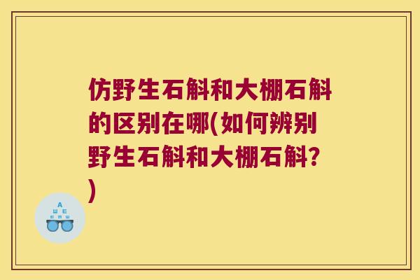 仿野生石斛和大棚石斛的区别在哪(如何辨别野生石斛和大棚石斛？)