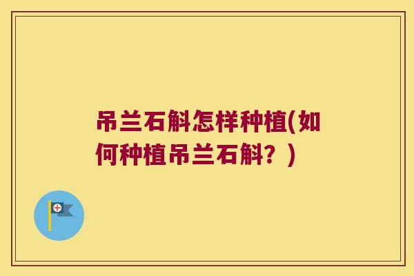 吊兰石斛怎样种植(如何种植吊兰石斛？)