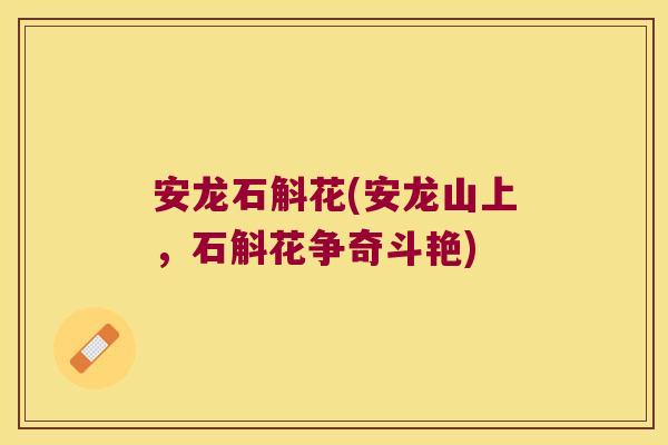 安龙石斛花(安龙山上，石斛花争奇斗艳)