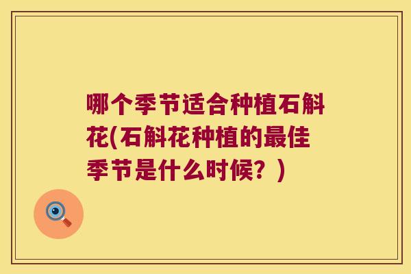 哪个季节适合种植石斛花(石斛花种植的佳季节是什么时候？)