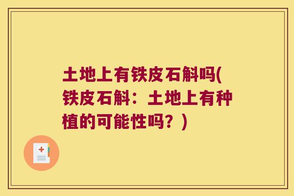 土地上有铁皮石斛吗(铁皮石斛：土地上有种植的可能性吗？)