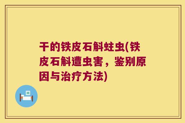 干的铁皮石斛蛀虫(铁皮石斛遭虫害，鉴别原因与治疗方法)