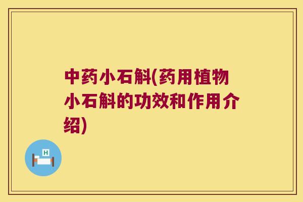 小石斛(药用植物小石斛的功效和作用介绍)