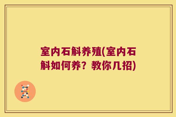 室内石斛养殖(室内石斛如何养？教你几招)