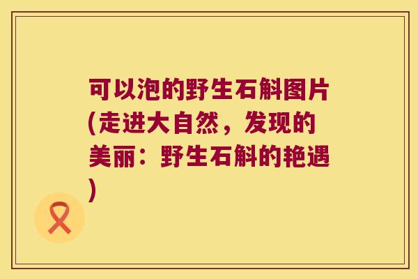 可以泡的野生石斛图片(走进大自然，发现的美丽：野生石斛的艳遇)