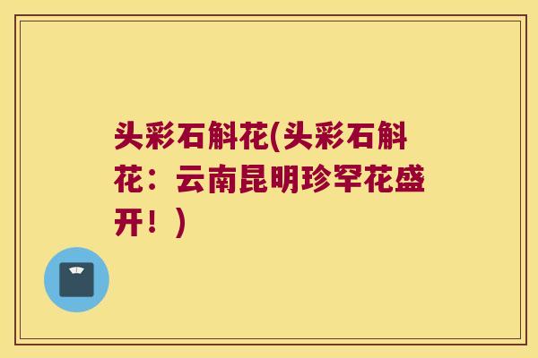 头彩石斛花(头彩石斛花：云南昆明珍罕花盛开！)