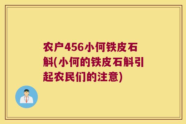 农户456小何铁皮石斛(小何的铁皮石斛引起农民们的注意)