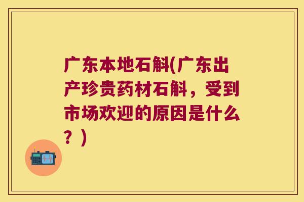 广东本地石斛(广东出产珍贵药材石斛，受到市场欢迎的原因是什么？)