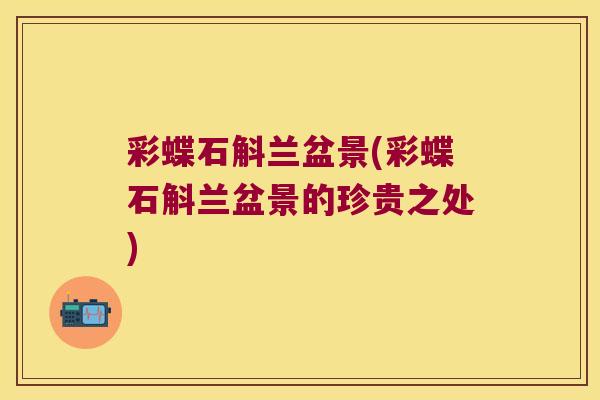 彩蝶石斛兰盆景(彩蝶石斛兰盆景的珍贵之处)