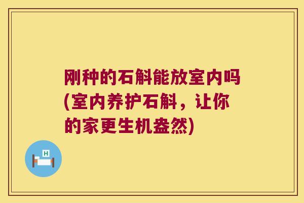 刚种的石斛能放室内吗(室内养护石斛，让你的家更生机盎然)