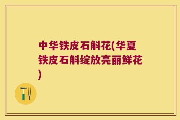 中华铁皮石斛花(华夏铁皮石斛绽放亮丽鲜花)
