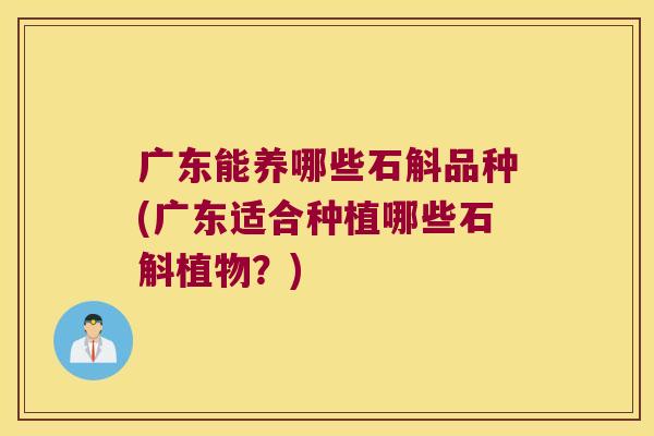 广东能养哪些石斛品种(广东适合种植哪些石斛植物？)